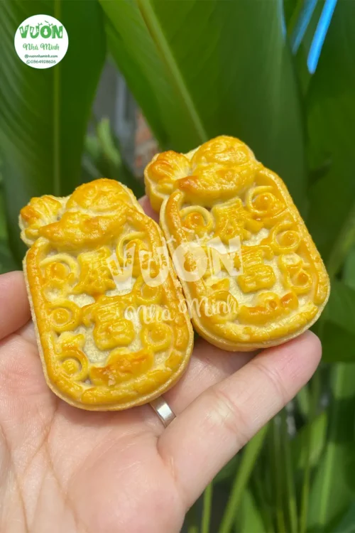 Banh-Khom-Dai-Loan-2-Vuonnhaminh