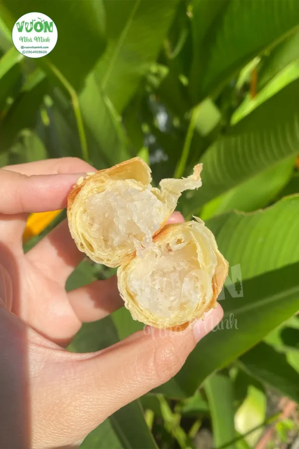 Banh-nuong-dua-non-1-vuonnhaminh