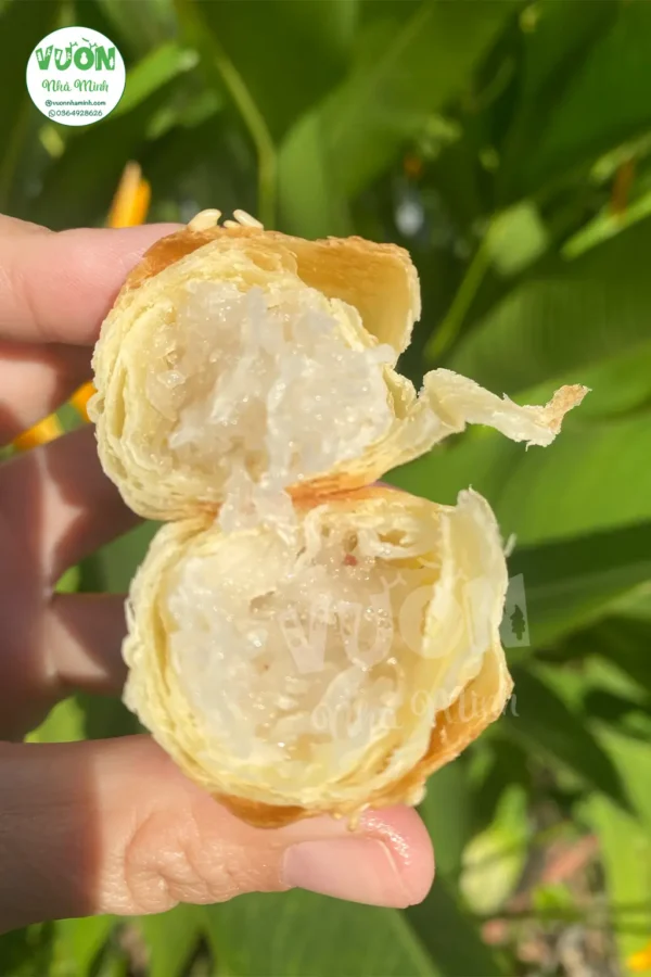 Banh-nuong-dua-non-3-vuonnhaminh