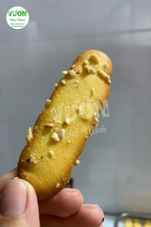 Banh-quy-luoi-meo-1-vuonnhaminh