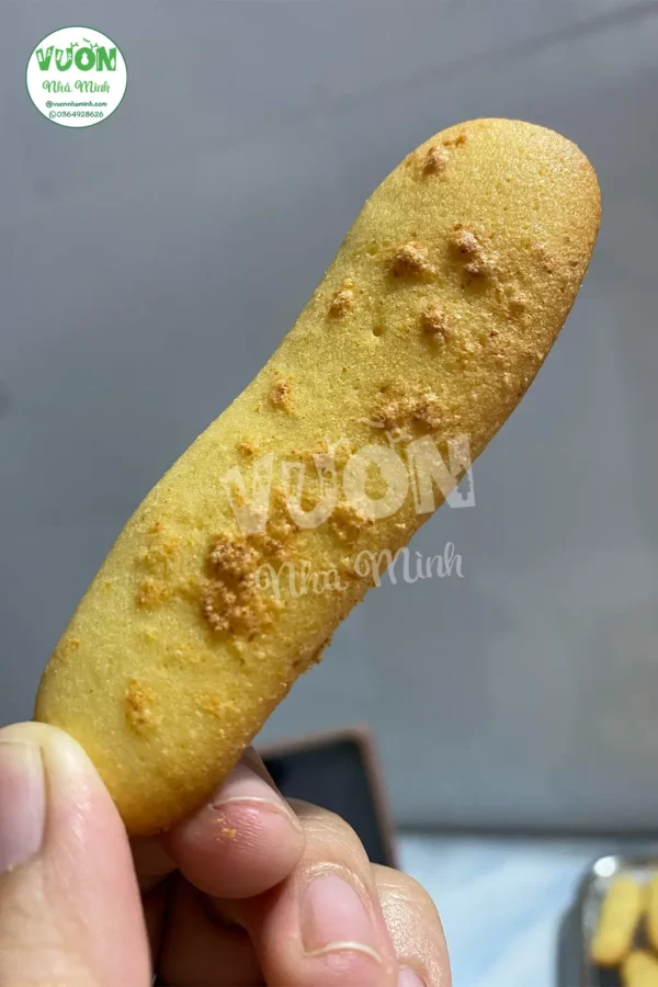 Banh-quy-luoi-meo-phomai-vuonnhaminh