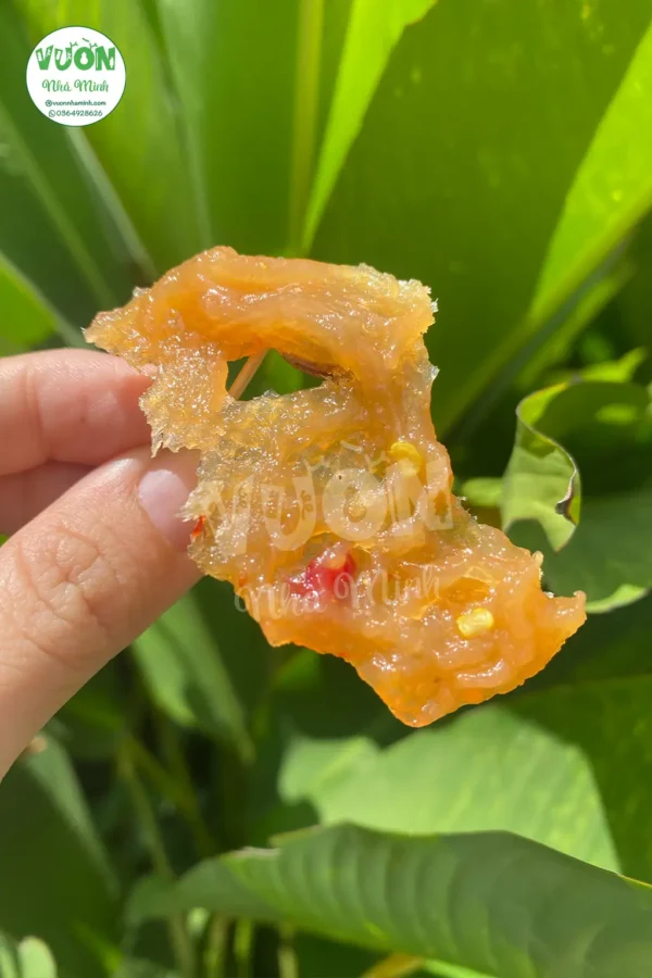 Mang-cau-say-1-vuonnhaminh