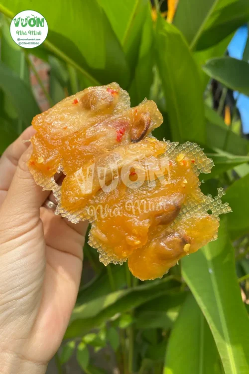 Mang-cau-say-3-vuonnhaminh