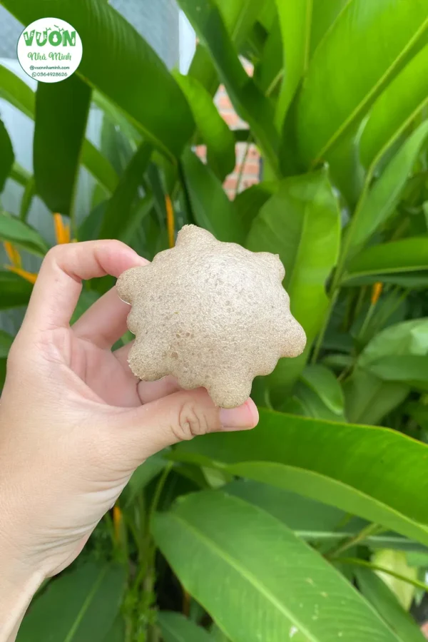 bánh bò chuối hồng