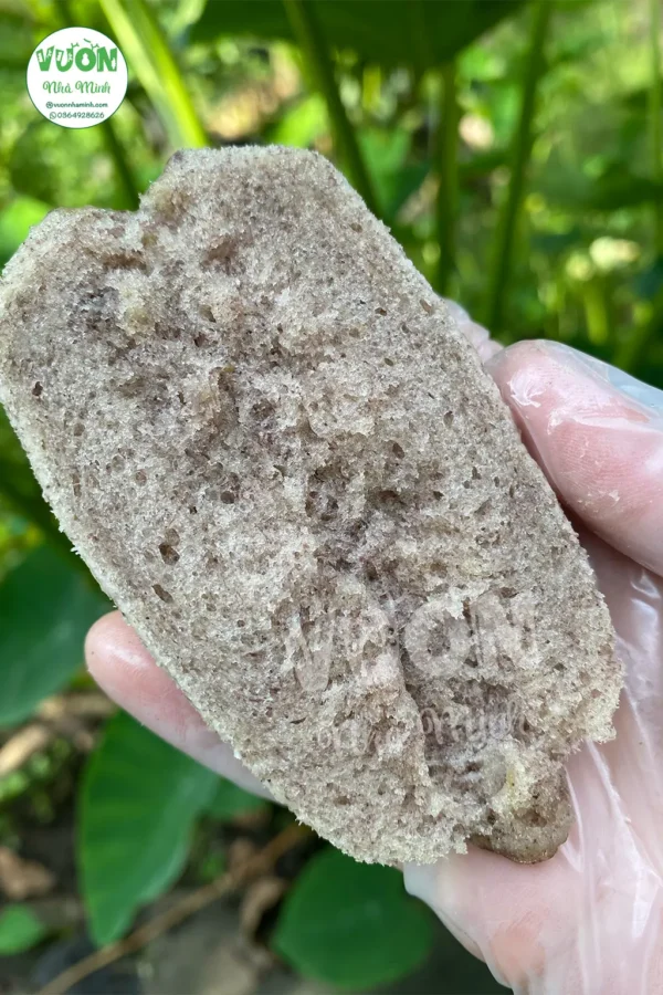 bánh bò chuối hồng