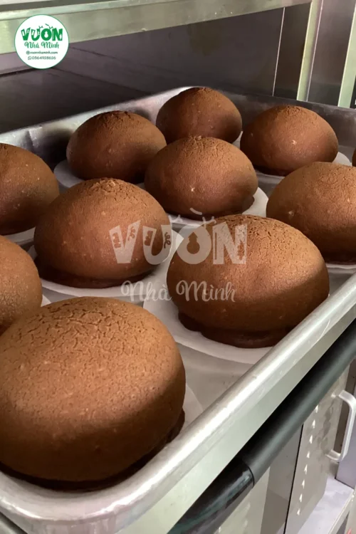 Khay bánh paparoti vừa lấy ra khỏi lò nướng của tiệm