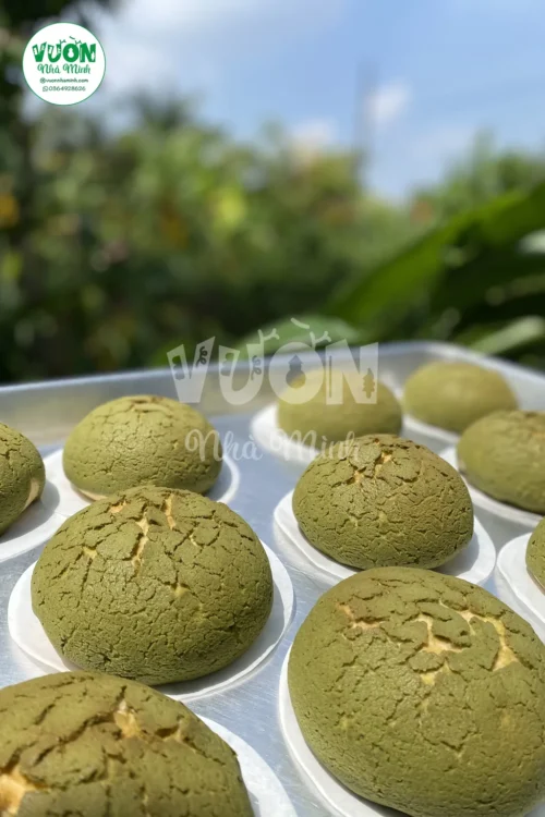 Mặt bánh rotiboy nứt thành vân trà xanh ngả vàng