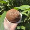 paparoti