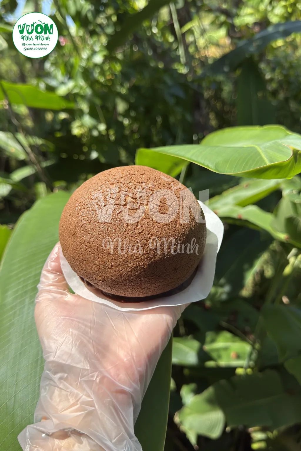 Cái bánh paparoti vỏ cà phê nứt vân, cầm trên tay giữa vườn