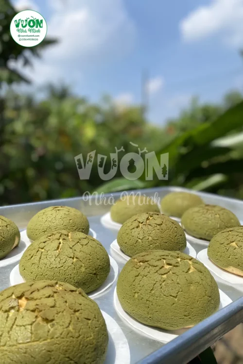 rotiboy trà xanh